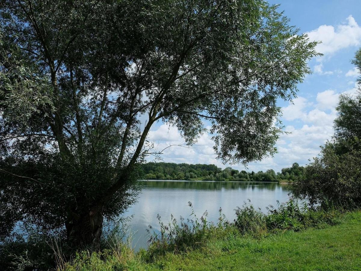 Pension Steinle Erbach an der Danau Exterior photo