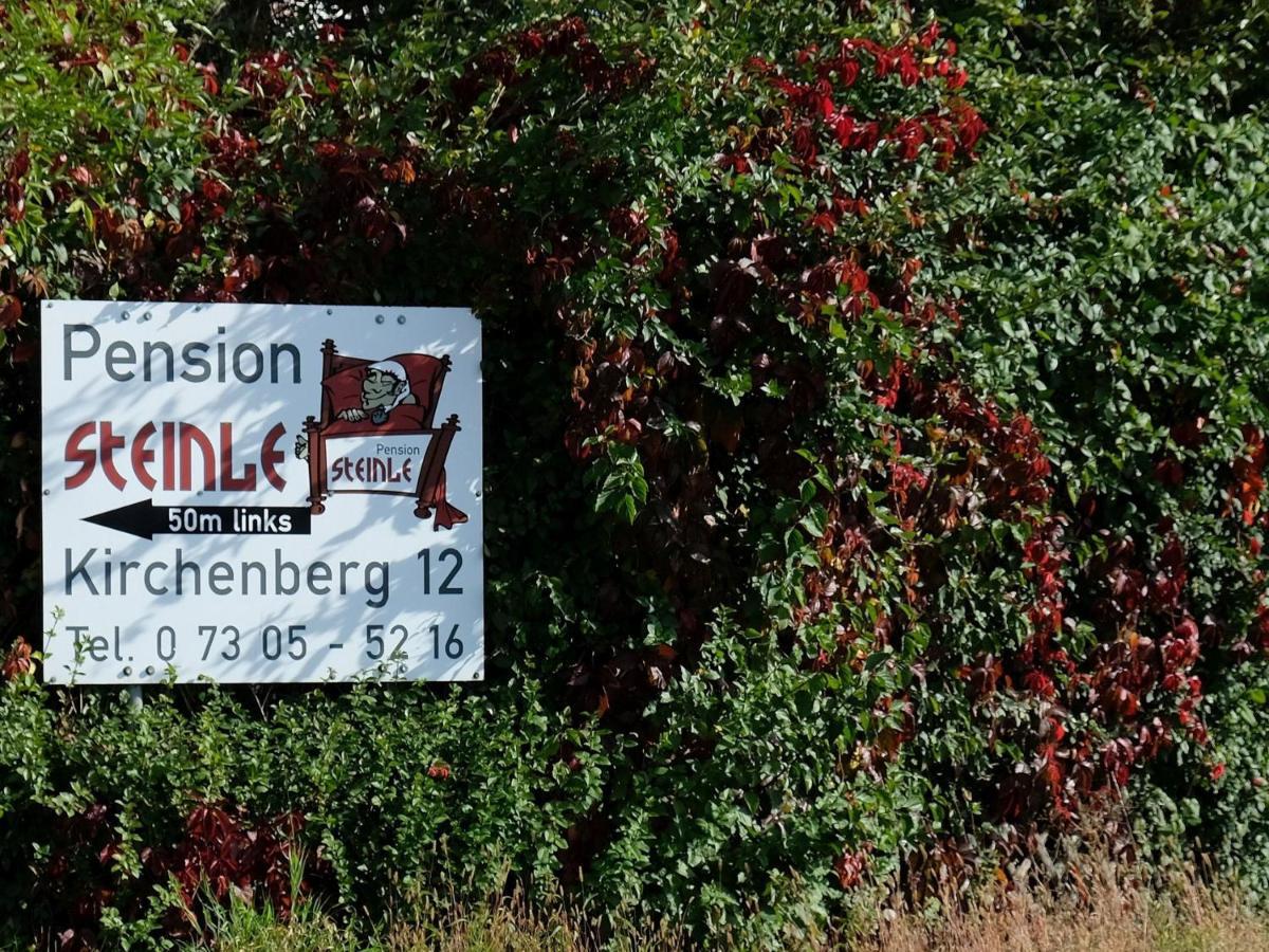 Pension Steinle Erbach an der Danau Exterior photo